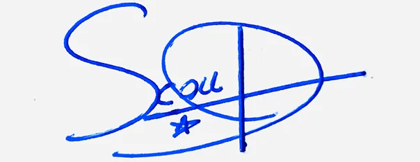 Scout professional signature ideas handwritten signature example in blue ink