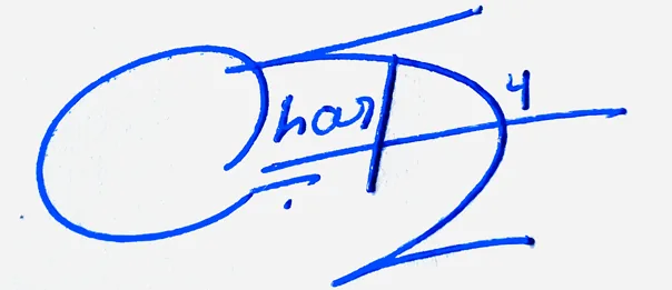 Charley professional signature ideas handwritten signature example in blue ink