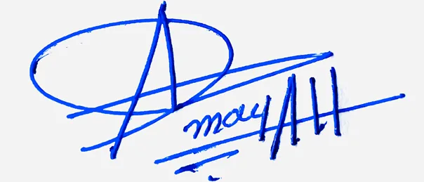 Amayah professional signature ideas handwritten signature example in blue ink