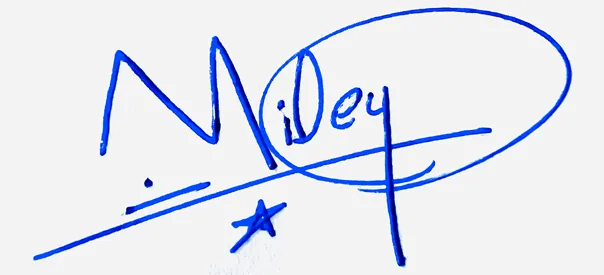 Miley professional signature ideas handwritten signature example in blue ink