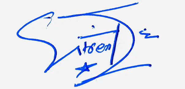 Wrenlee professional signature ideas handwritten signature example in blue ink
