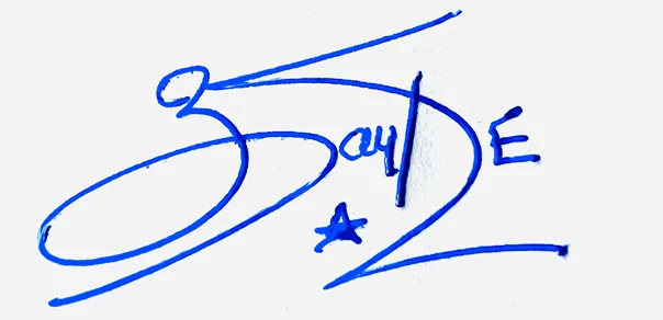 Zaylee professional signature ideas handwritten signature example in blue ink
