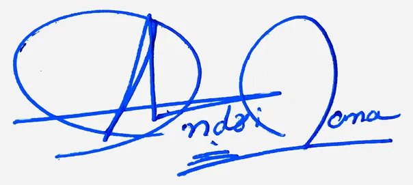 Adrianna professional signature ideas handwritten signature example in blue ink