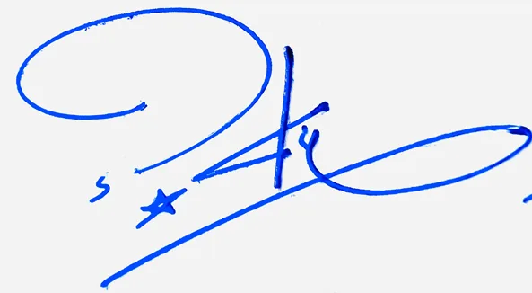 Sky good signature style handwritten signature example in blue ink