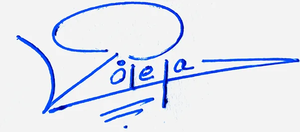 Violeta good signature style handwritten signature example in blue ink