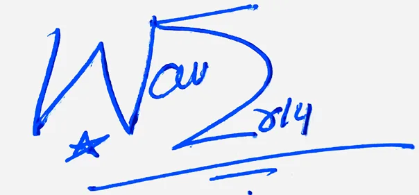 Waverly good signature style handwritten signature example in blue ink