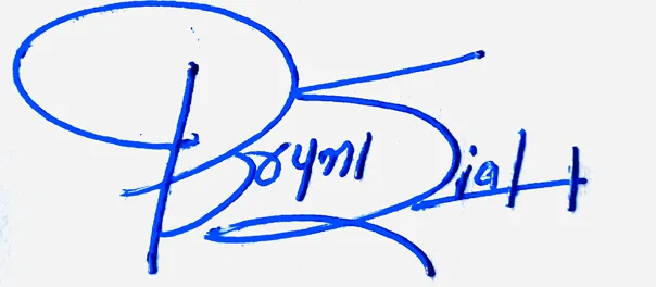 Brynleigh good signature style handwritten signature example in blue ink