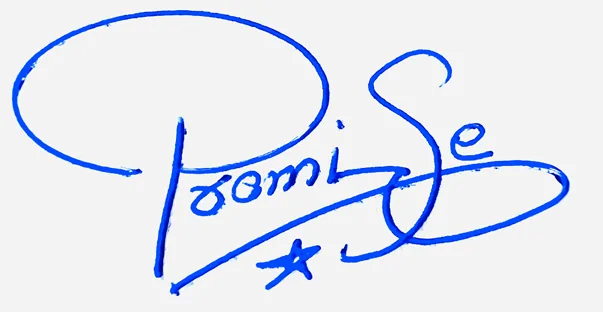 Promise signature for my name handwritten signature example in blue ink