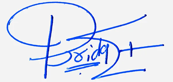 Bridget signature for my name handwritten signature example in blue ink