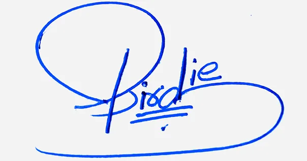 Birdie handwritten signature ideas for my name handwritten signature example in blue ink