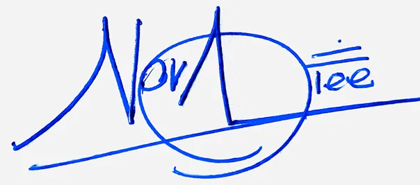 Novalee handwritten signature ideas for my name handwritten signature example in blue ink