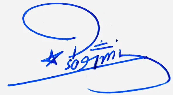 Stormi handwritten signature ideas for my name handwritten signature example in blue ink