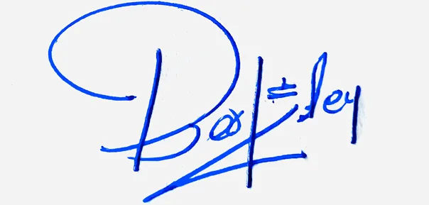 Berkley handwritten signature ideas for my name handwritten signature example in blue ink