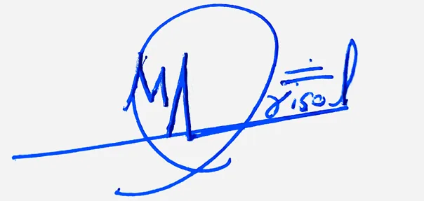Marisol handwritten signature ideas for my name handwritten signature example in blue ink