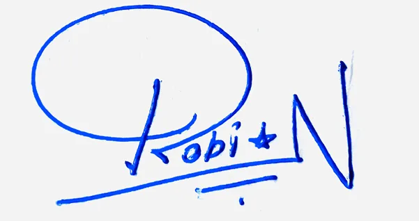 Robin signature design for my name handwritten signature example in blue ink