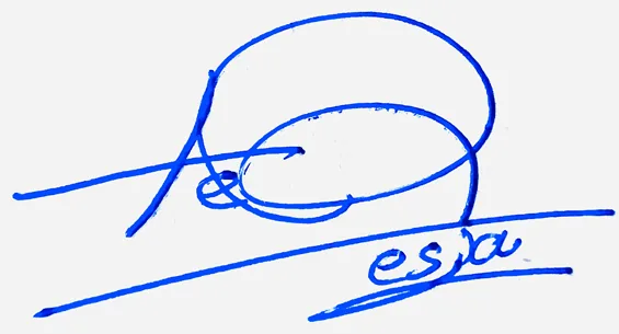 Teresa signature design for my name handwritten signature example in blue ink