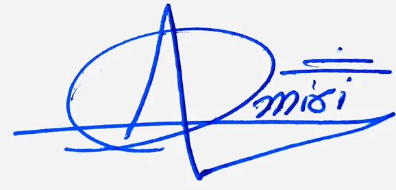 Amiri signature design for my name handwritten signature example in blue ink