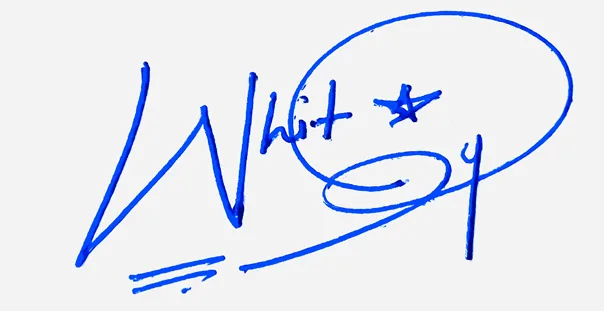 Whitley cute signature ideas handwritten signature example in blue ink