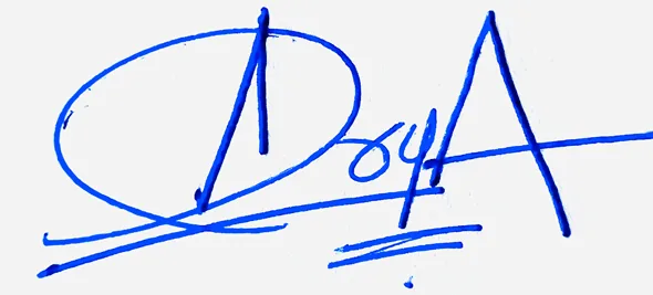 Araya cute signature ideas handwritten signature example in blue ink