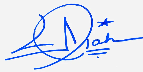 Laylah cute signature ideas handwritten signature example in blue ink