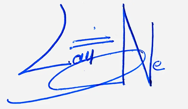 Layne simple signature ideas handwritten signature example in blue ink