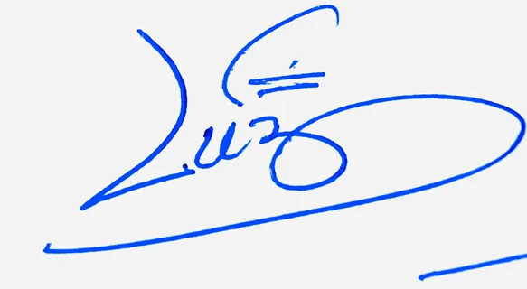 Luz simple signature ideas handwritten signature example in blue ink