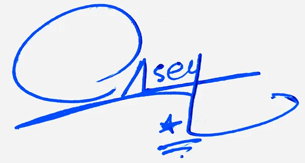 Casey simple signature ideas handwritten signature example in blue ink