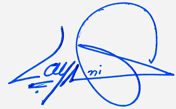 Laylani simple signature ideas handwritten signature example in blue ink