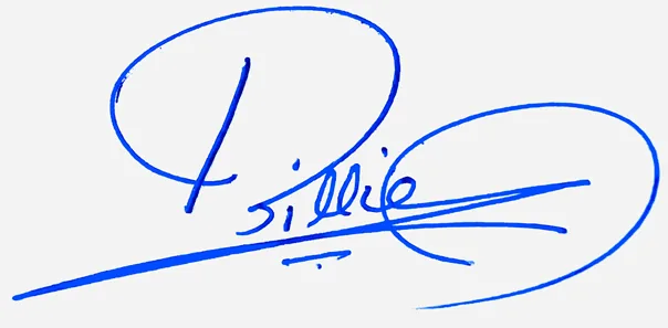 Billie simple signature ideas handwritten signature example in blue ink