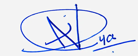 Inaya create signature online free handwritten signature example in blue ink