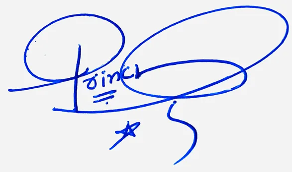 Princess create signature online free handwritten signature example in blue ink