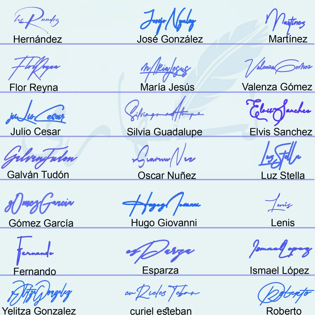 Different Signature Styles