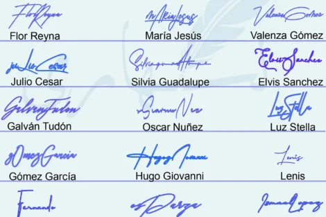 Collage of 21 different handwritten signature styles for short and full names