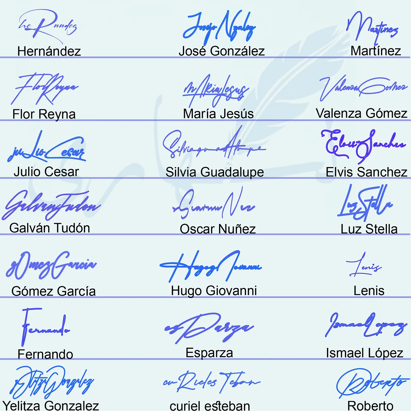 Collage of 21 different handwritten signature styles for short and full names